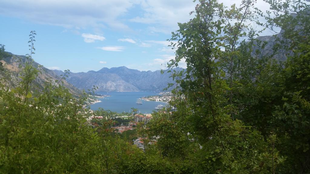 Apartments Panoramic Paradise Kotor Exterior foto